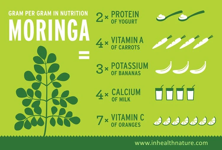 moringa nutrition