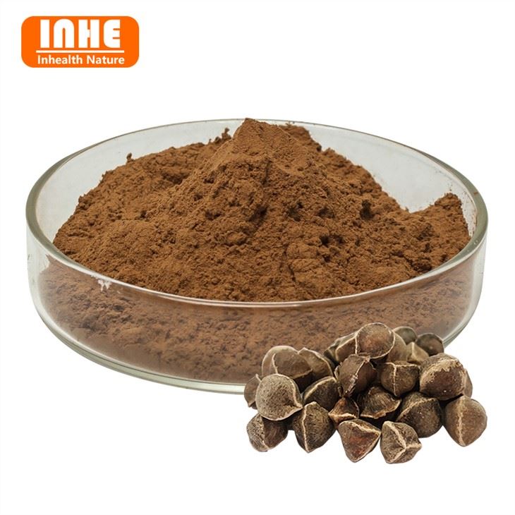 মরিঙ্গা বীজ নির্যাস পাউডার